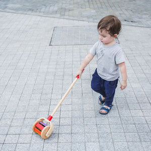 PlanToys Walk N Roll Musical Push Toy