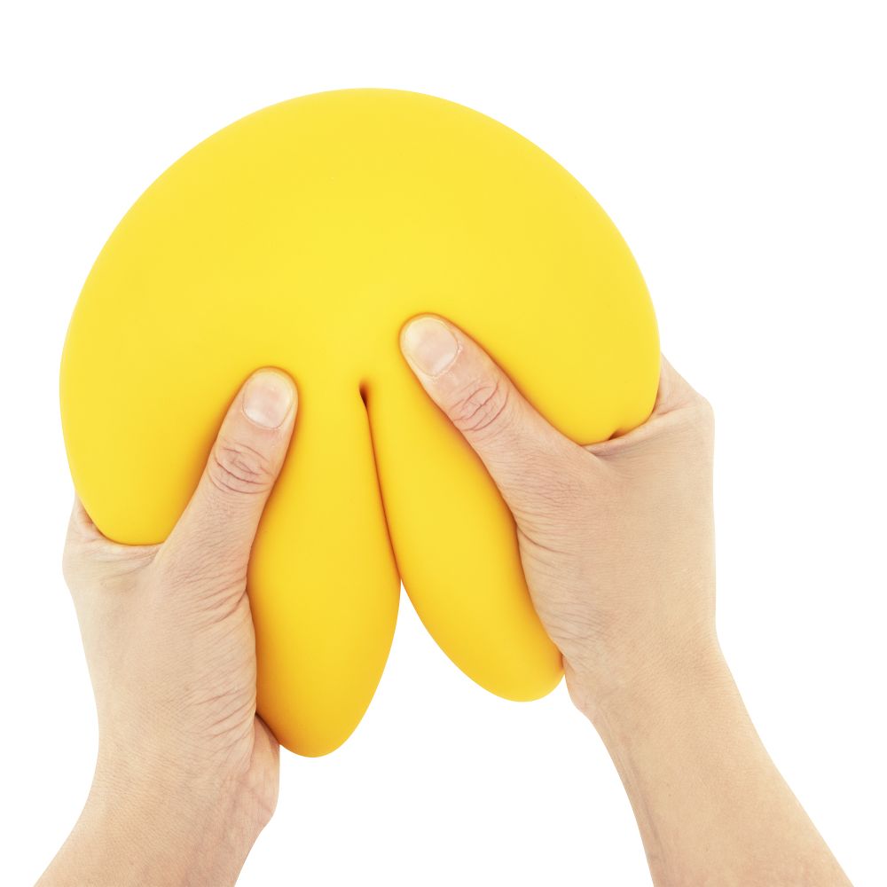 The Big Squij Jumbo Squishy / Fortune Cookie