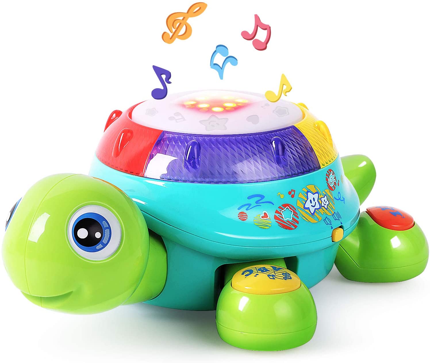 Music Turtle Activity Toy