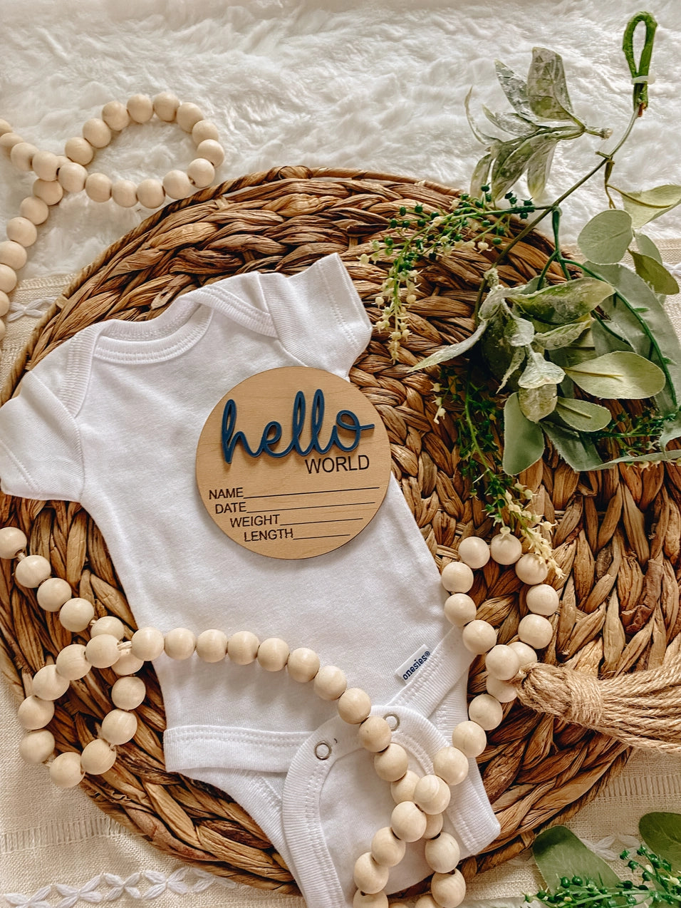 Hello World Birth Announcement Disc