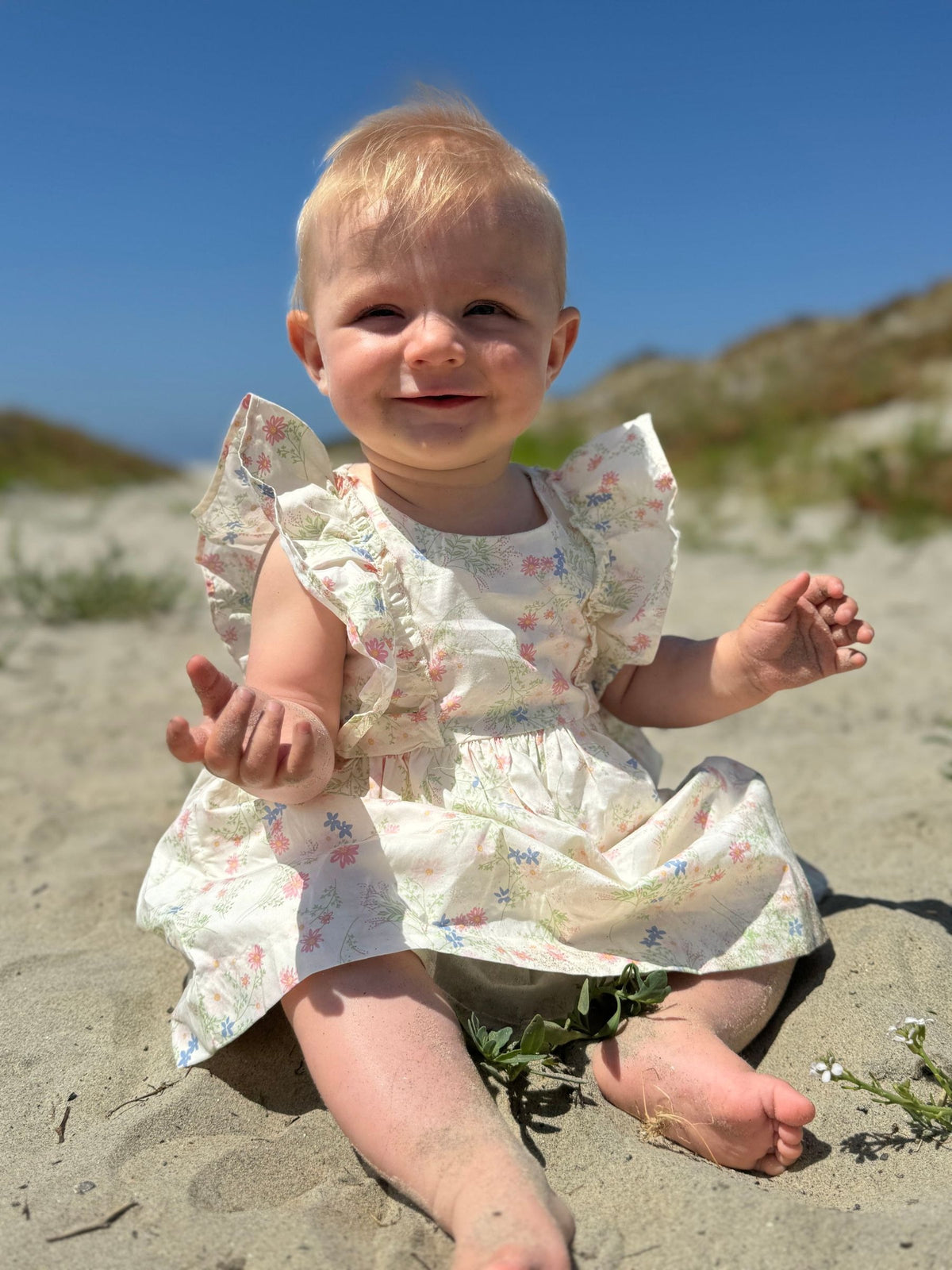 Michelle Dress / Pink Meadow