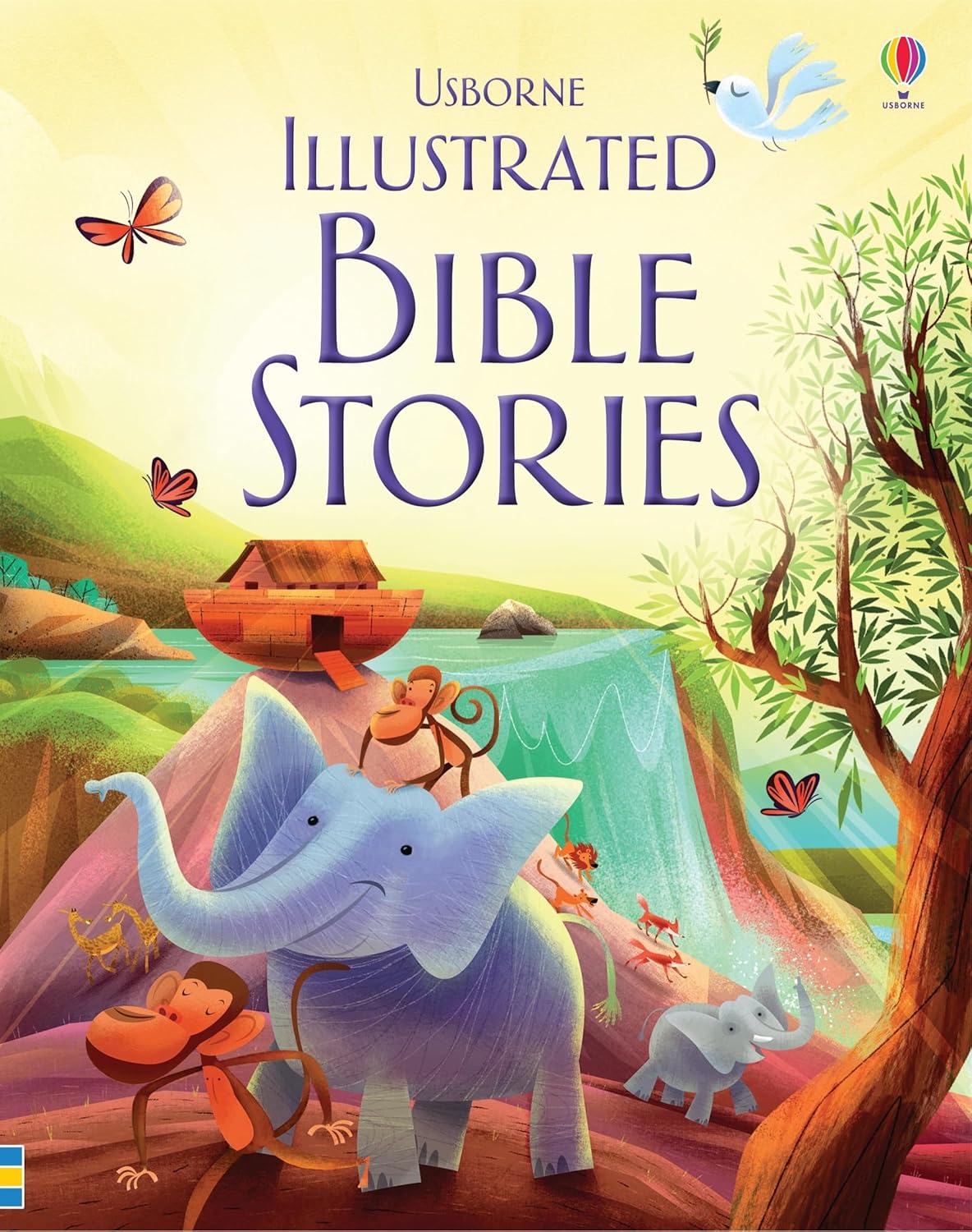 Illustrated Bible Stories Book