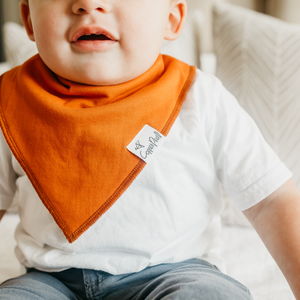 Copper Pearl Bandana Bibs / Blaze