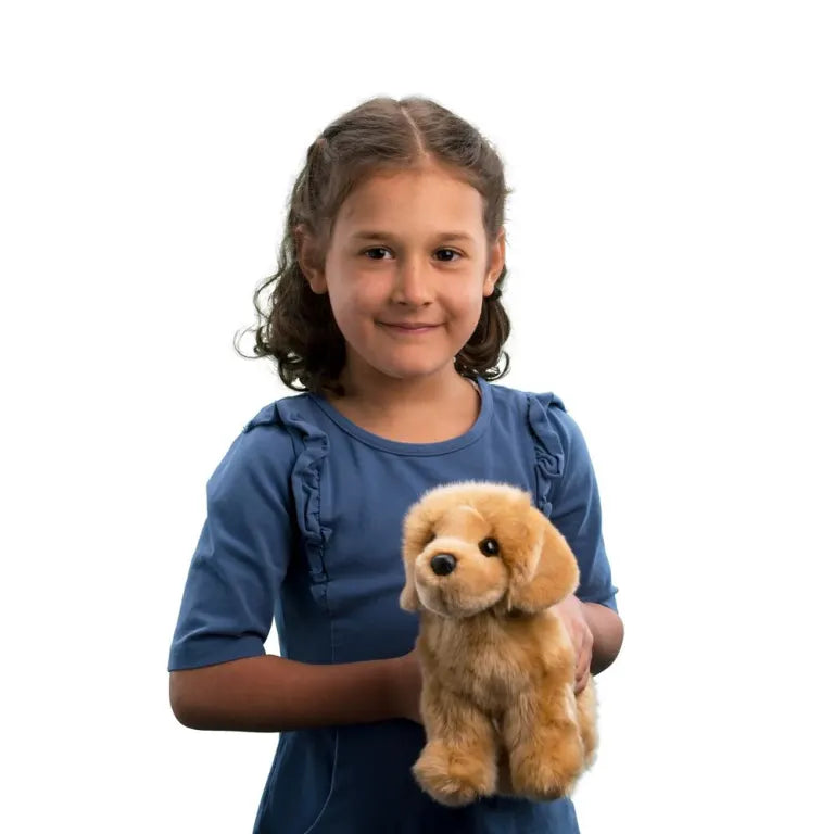 Chap Golden Retriever