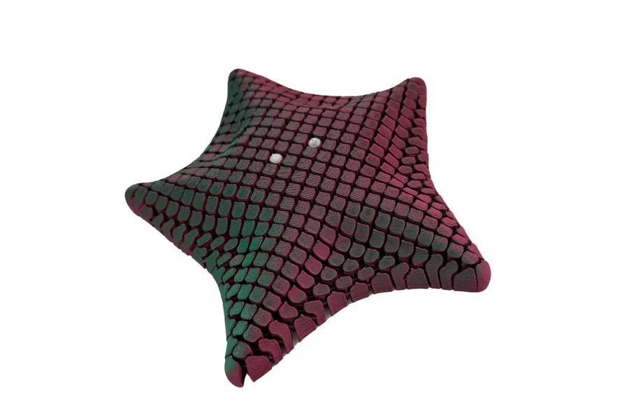 PYE Games Floppy Starfish