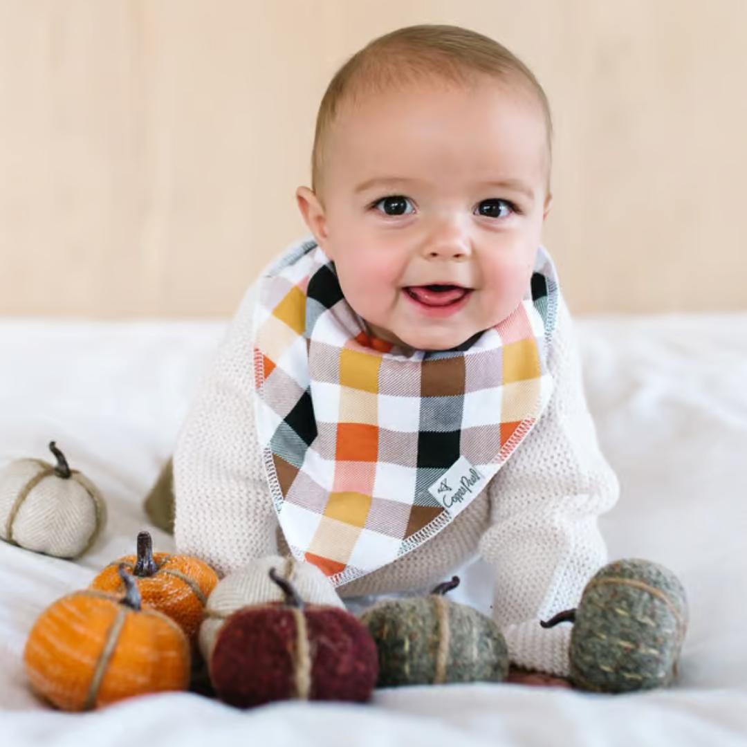 Copper Pearl Bandana Bibs / Holiday