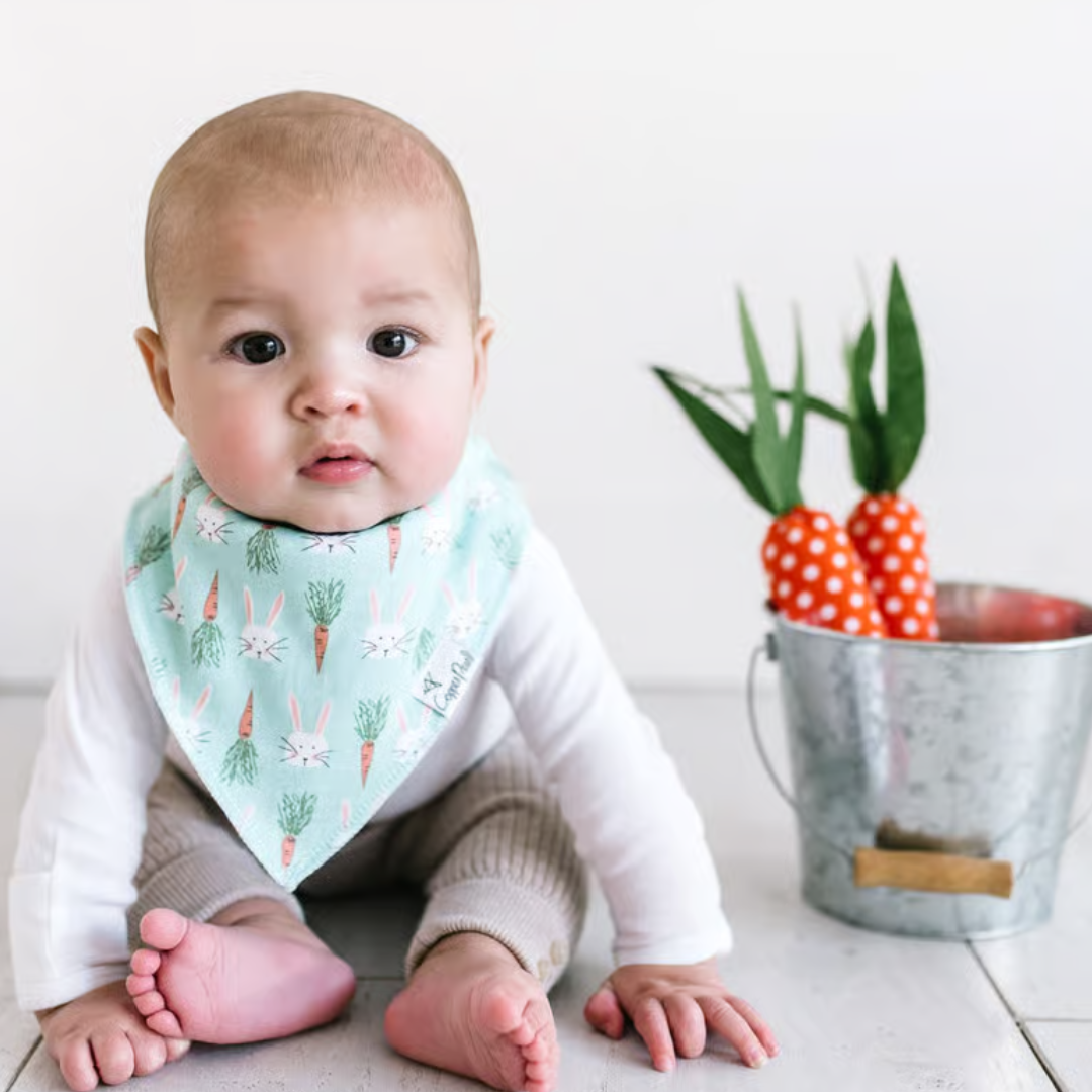 Copper Pearl Bandana Bibs / Holiday