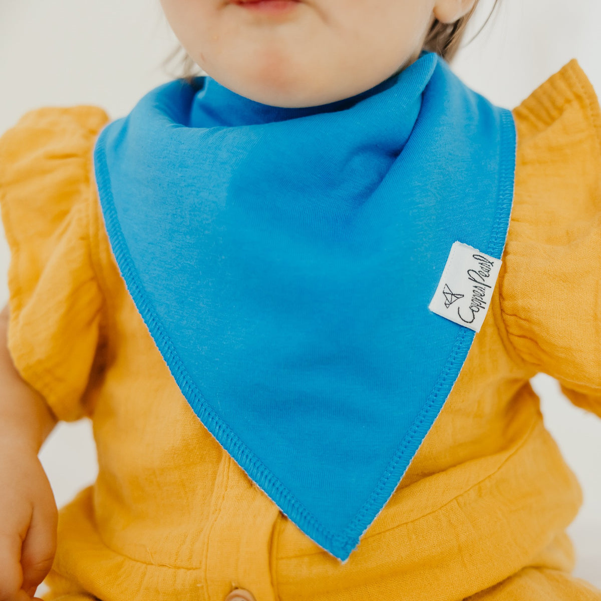 Copper Pearl Bandana Bibs / Blueberry