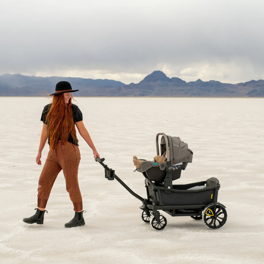 Cruiser infant shop carrier