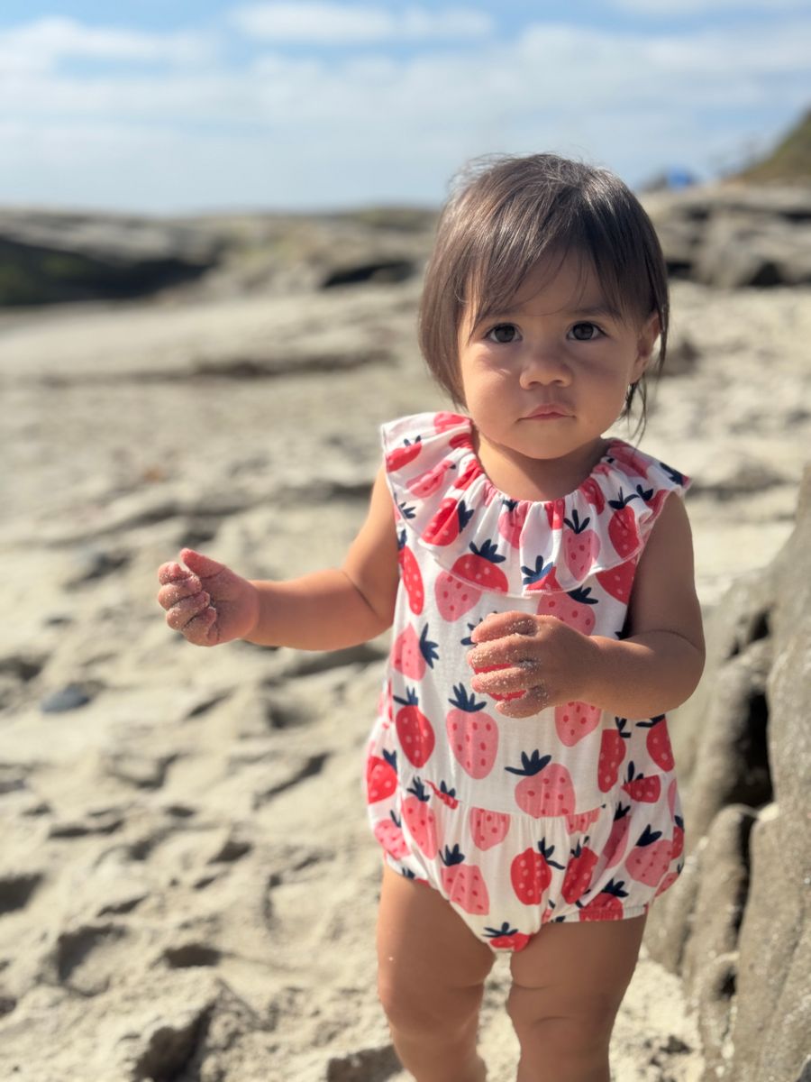 Vignette Taylor Bubble Romper / Strawberries