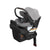 PRE-ORDER Uppababy Aria Infant Car Seat