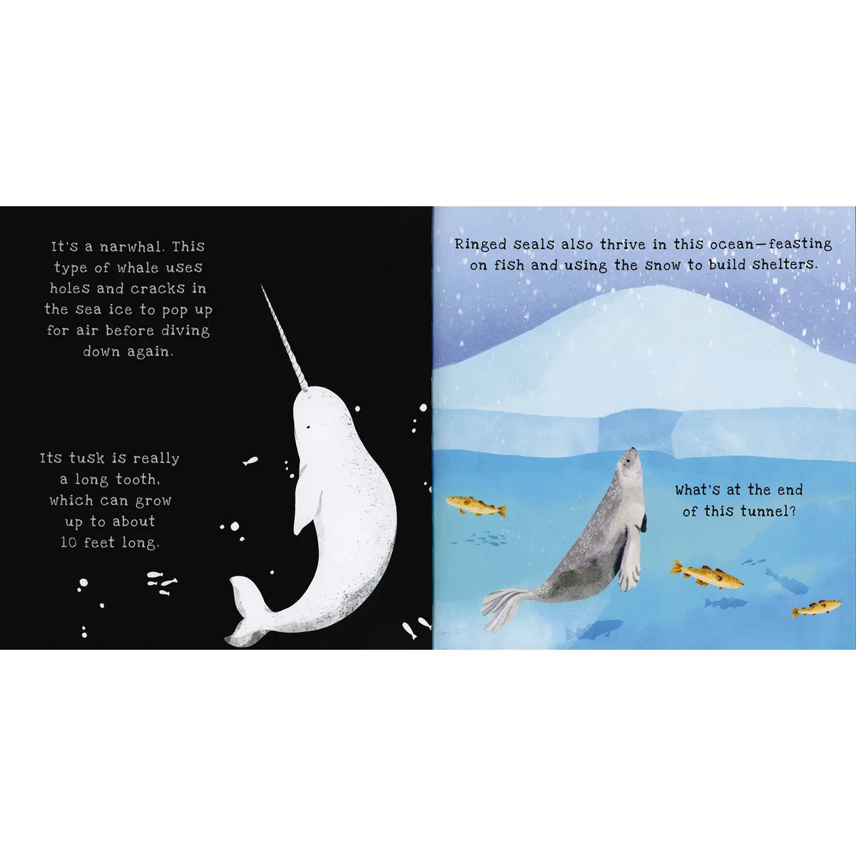 Shine-A-Light Oceans Book