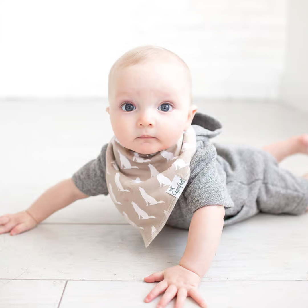 Copper Pearl Bandana Bibs / Phoenix