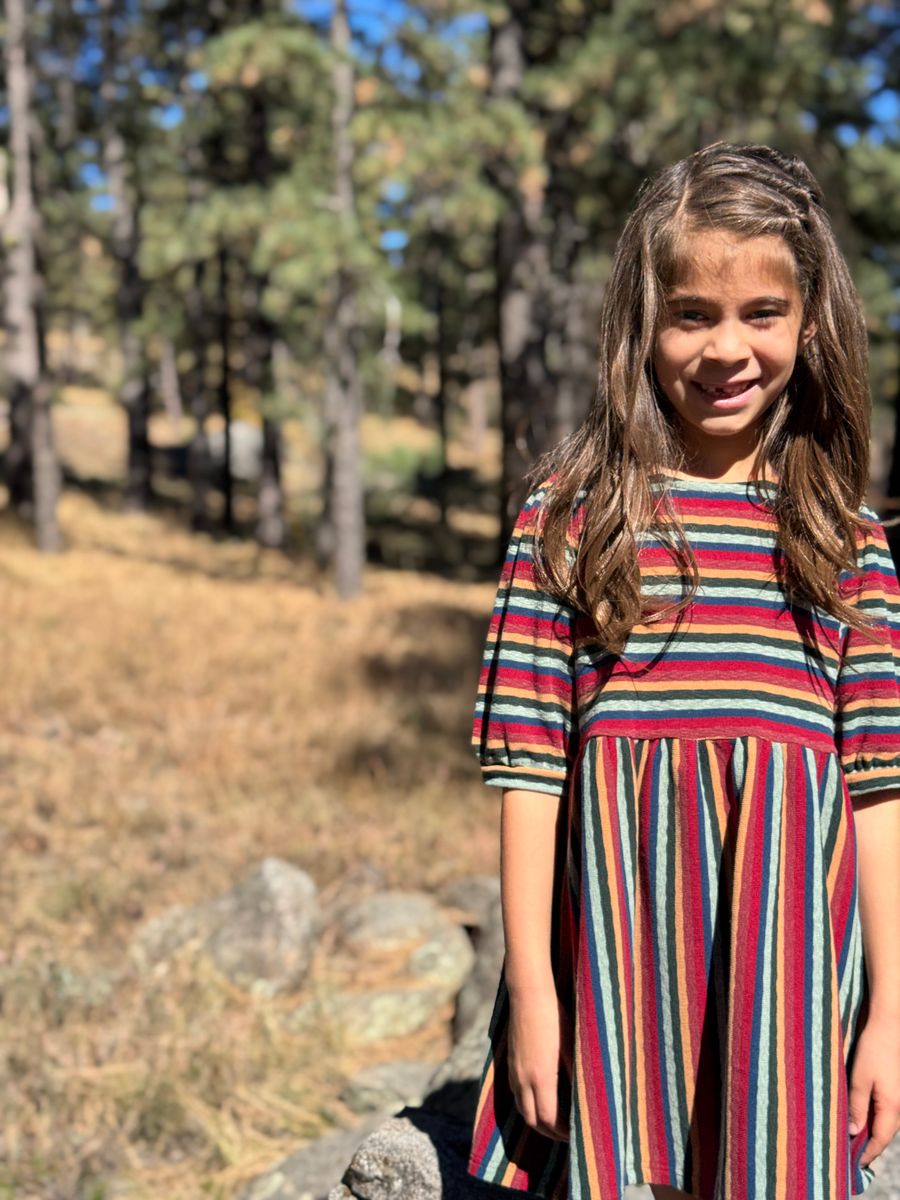 Vignette Mila Dress / Rust Mixed Stripe