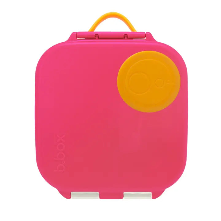 Mini Silicone Lunchbox