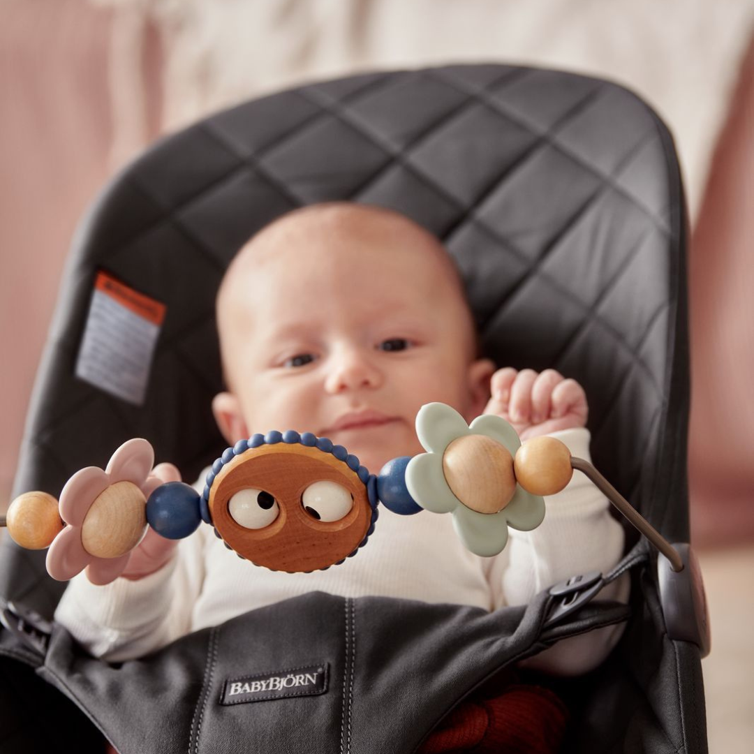Baby bjorn bouncer toy on sale