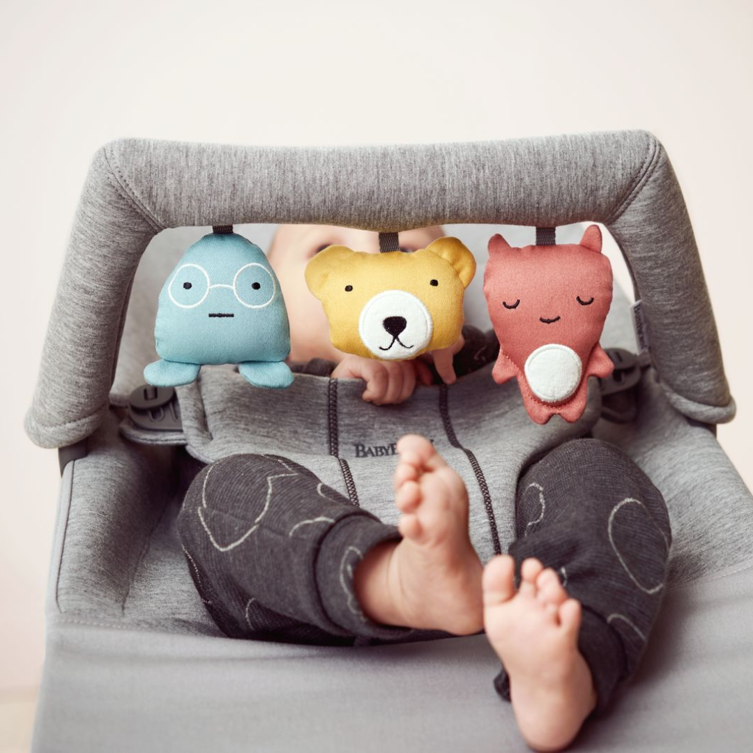 Baby Bjorn Bouncer Toy