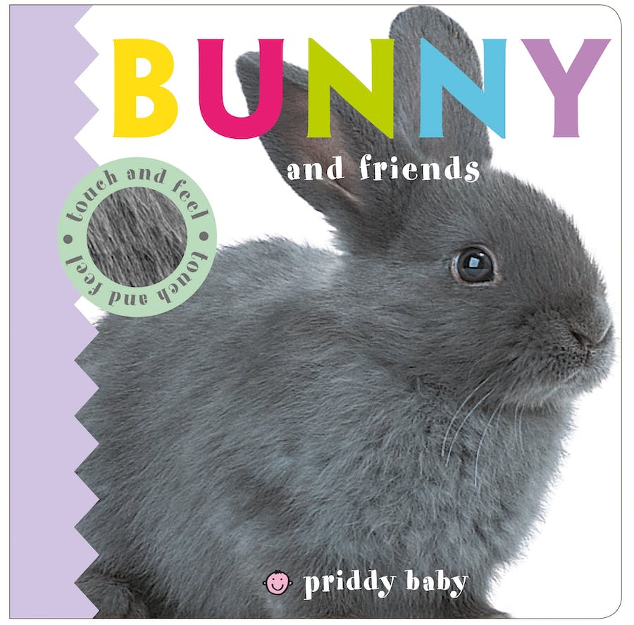 Touch & Feel: Bunny & Friends Board Book