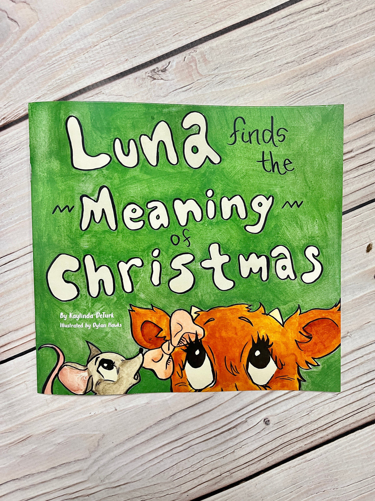 Luna Finds the Meaning of Christmas Book