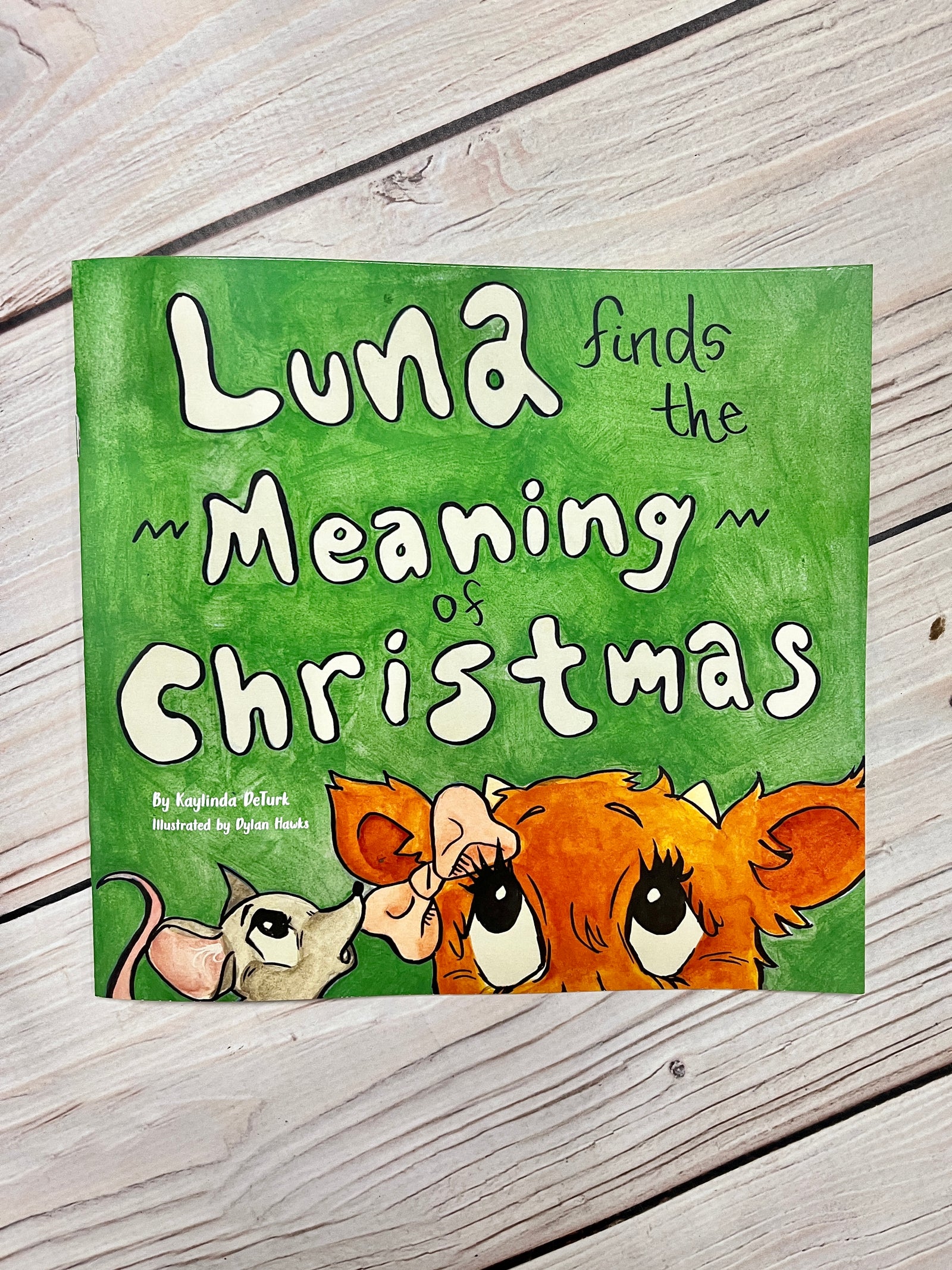 Luna Finds the Meaning of Christmas Book