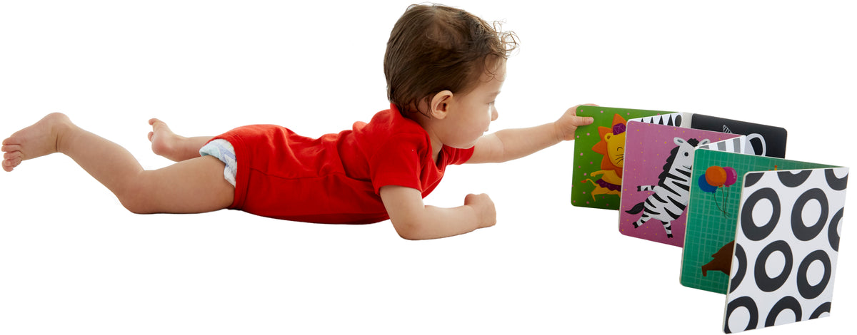 TummyTime: Animal Parade Board Book