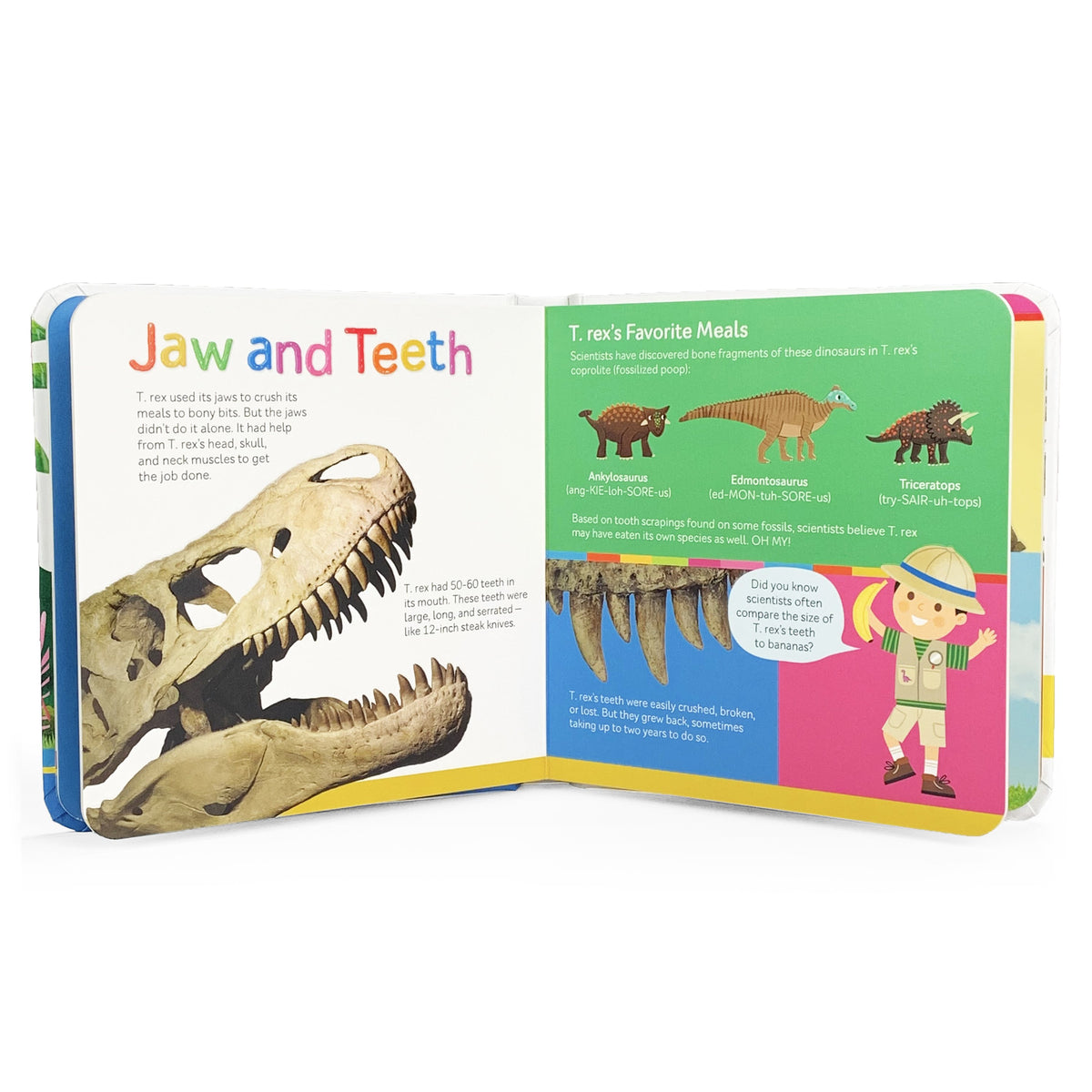 Smithsonian Kids: T. Rex from Head to Tail Board Book
