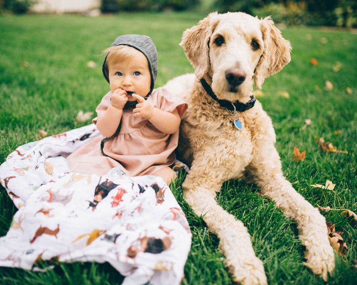 Little Unicorn Cotton Muslin Swaddle Set / Woof
