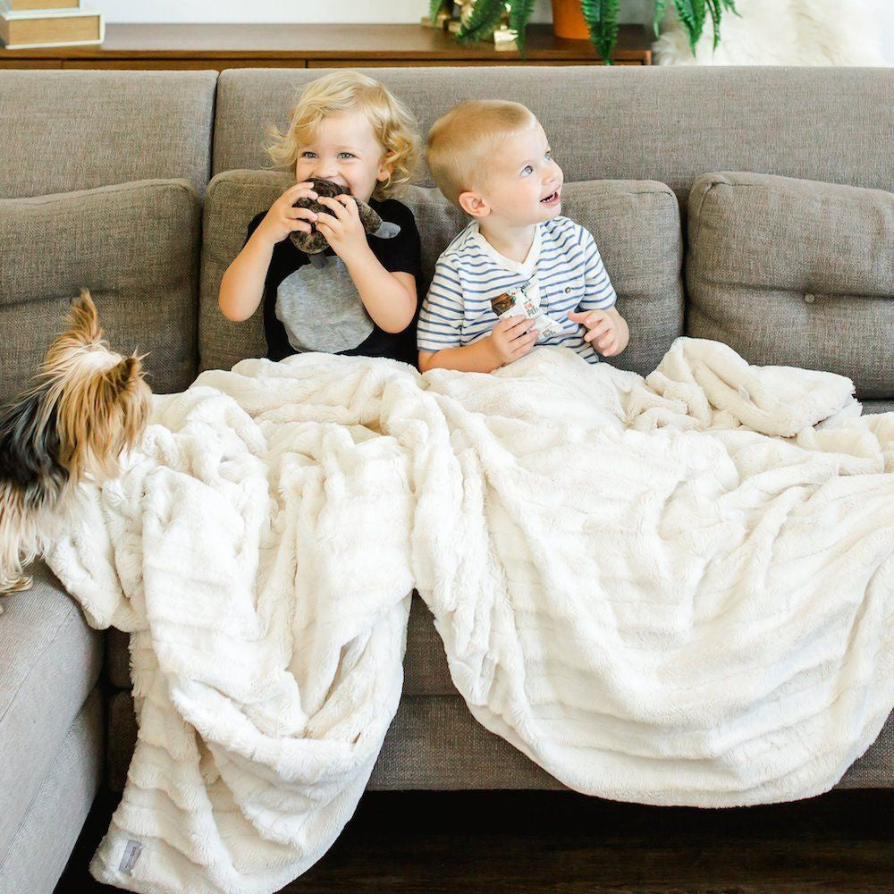 Saranoni Ivory Stripe Home Throw Blanket / (50"x60")