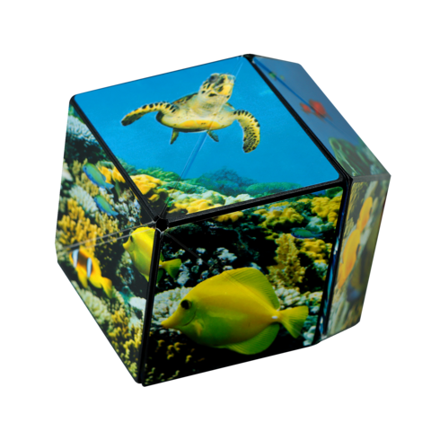 Shashibo Shape Shifting Cube / Undersea***
