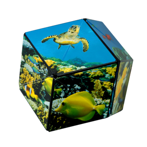 Shashibo Shape Shifting Cube / Undersea***