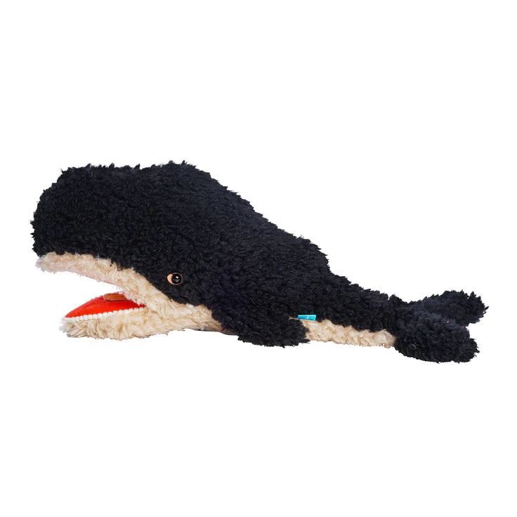 Imaginaries Fuzzy Whale