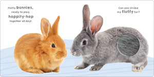 Touch & Feel: Bunny & Friends Board Book