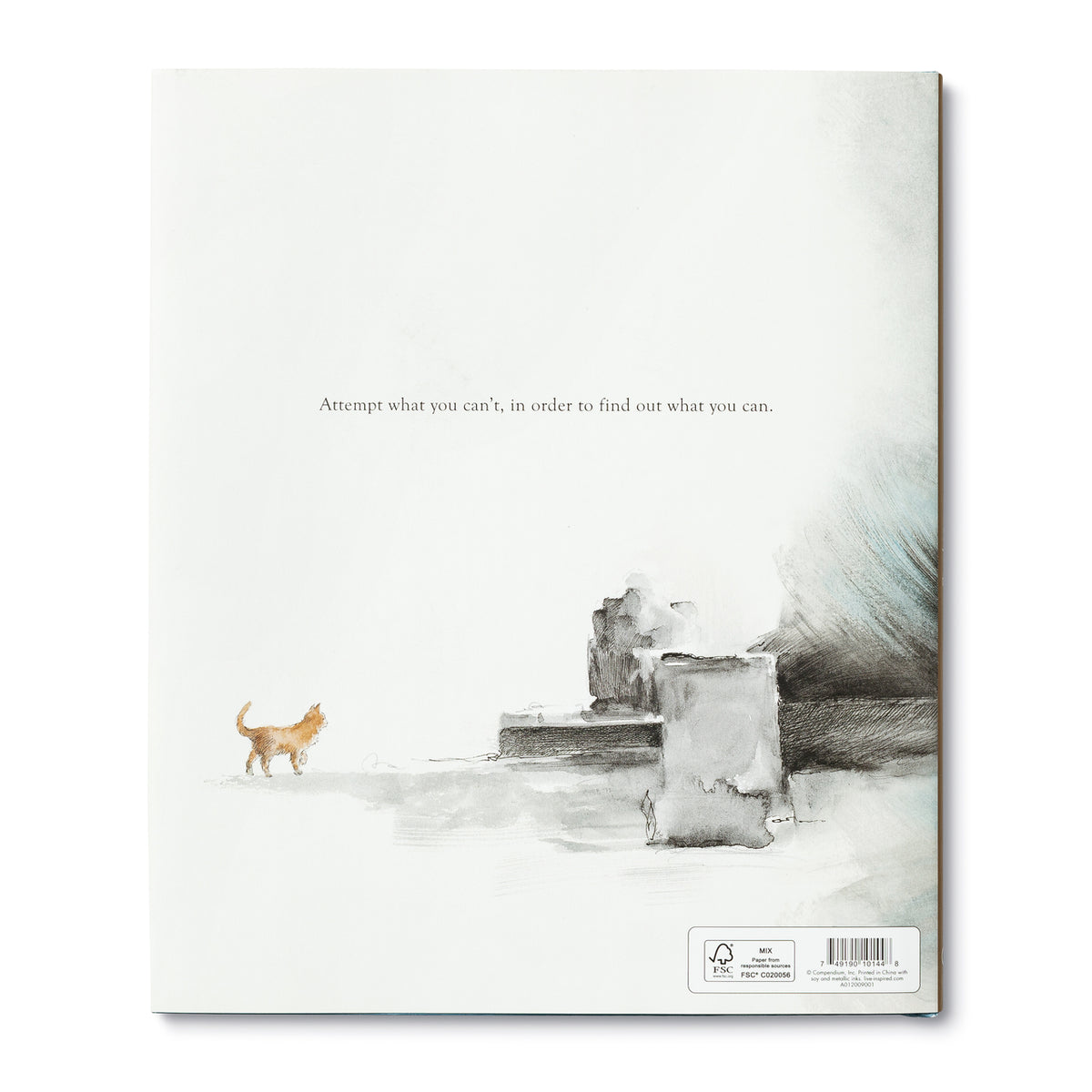 Trying Hardcover Book