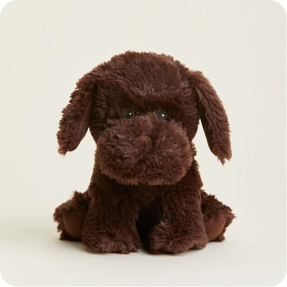 Warmies Cozy Plush Chocolate Labrador