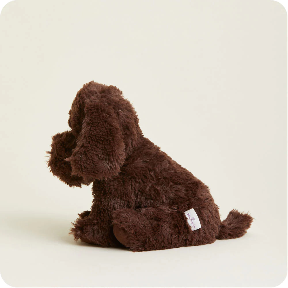 Warmies Cozy Plush Chocolate Labrador